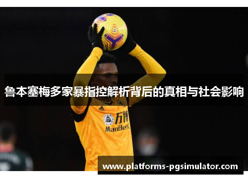 鲁本塞梅多家暴指控解析背后的真相与社会影响